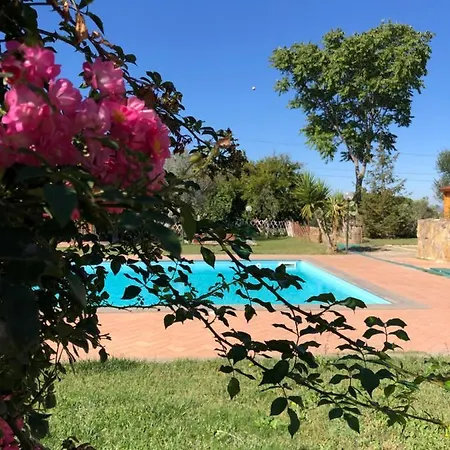 La Casa Di Alice - Alloggio Turistico